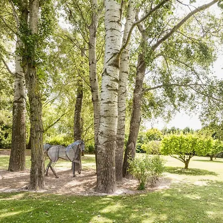 Beautiful Provencal Mas With Swimming Pool *